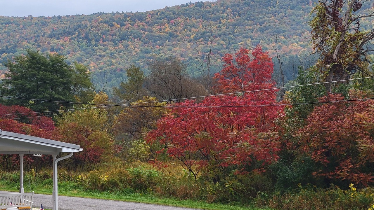 Photo of Outdoor in Wellsboro