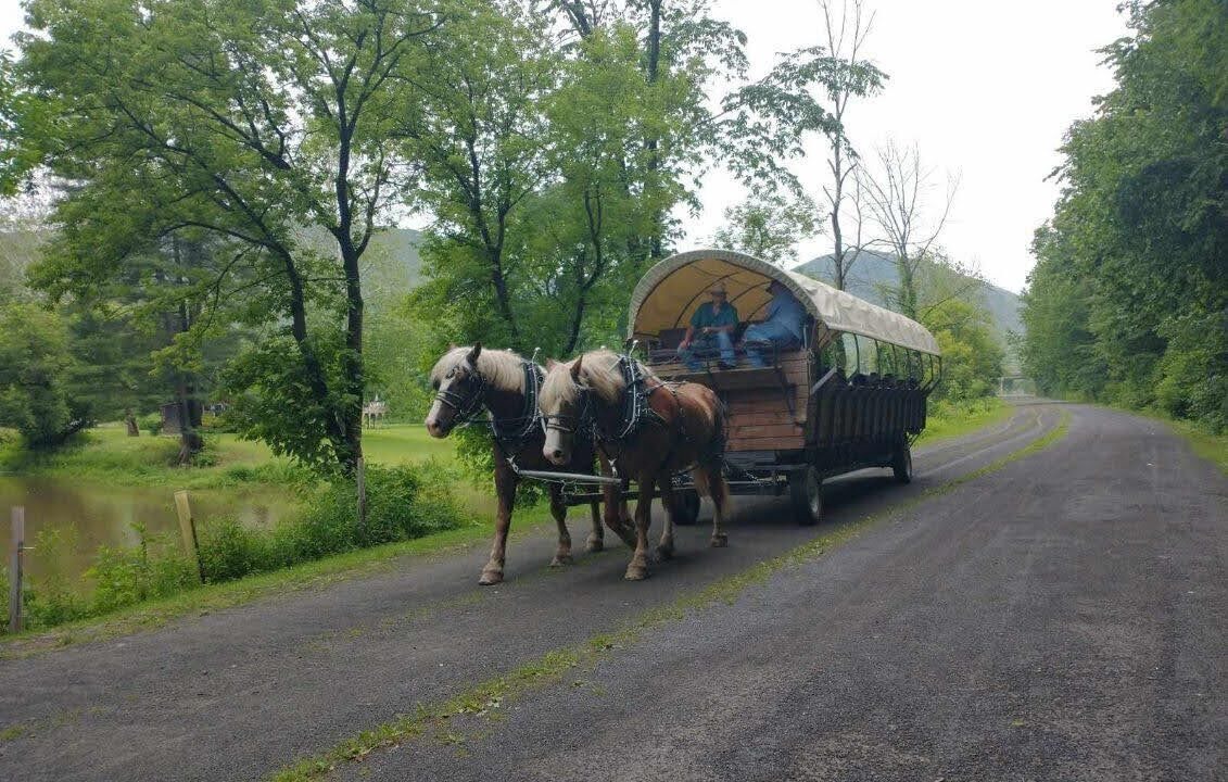 Photo of Others in Wellsboro