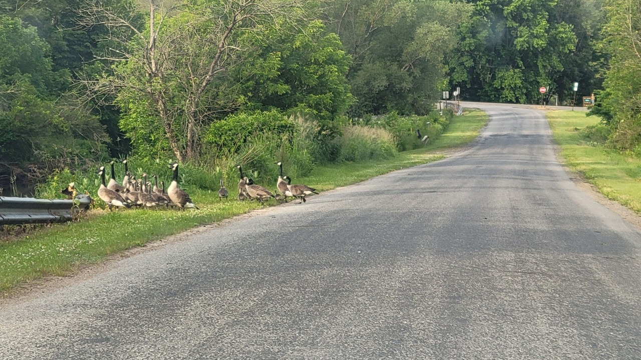 Photo of Others in Wellsboro