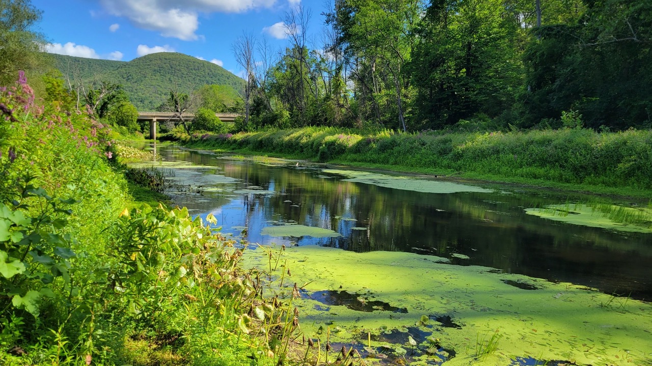 Photo of Outdoor in Wellsboro