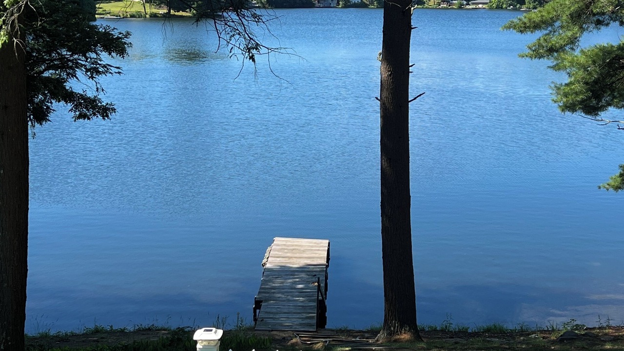 Photo of Others in Palmer