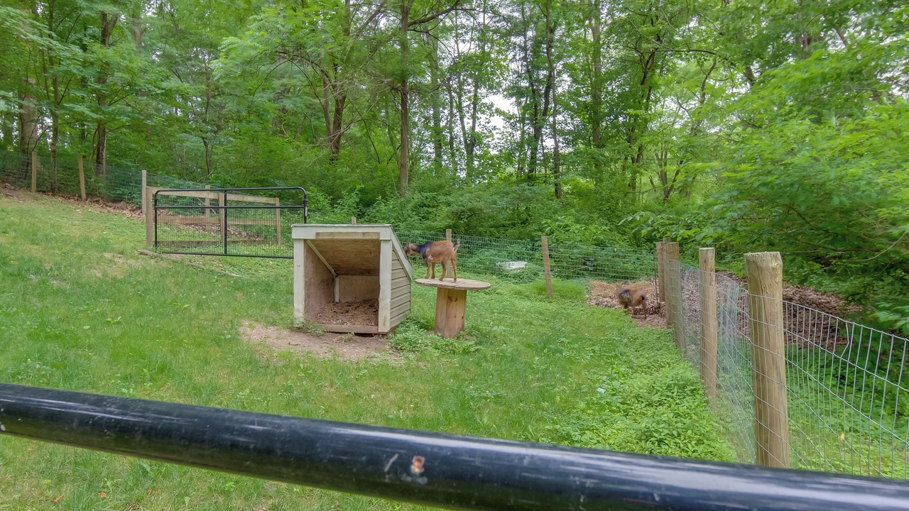 Photo of Others in Manheim