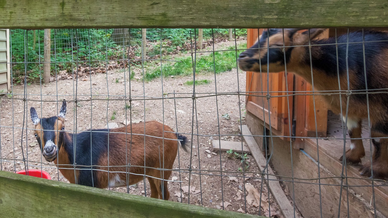 Photo of Outdoor in Manheim