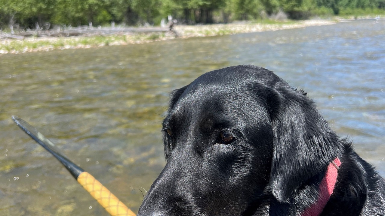 Photo of Others in Victor