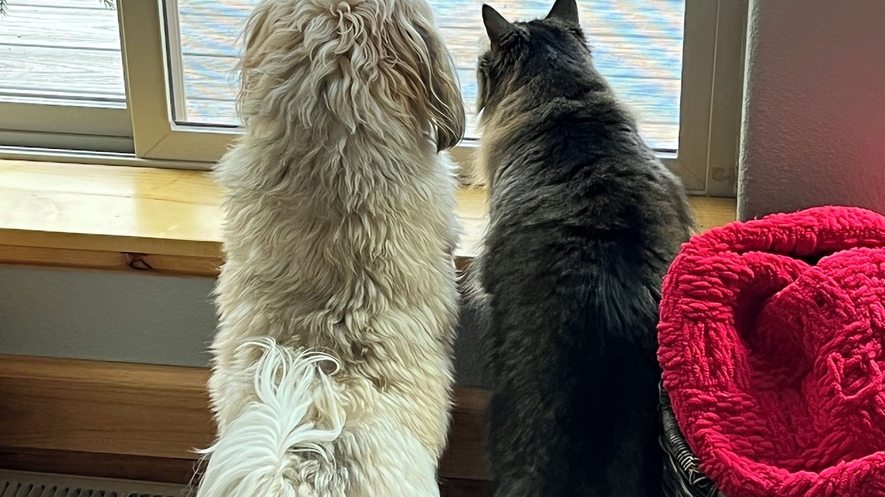 Photo of Others in Victor