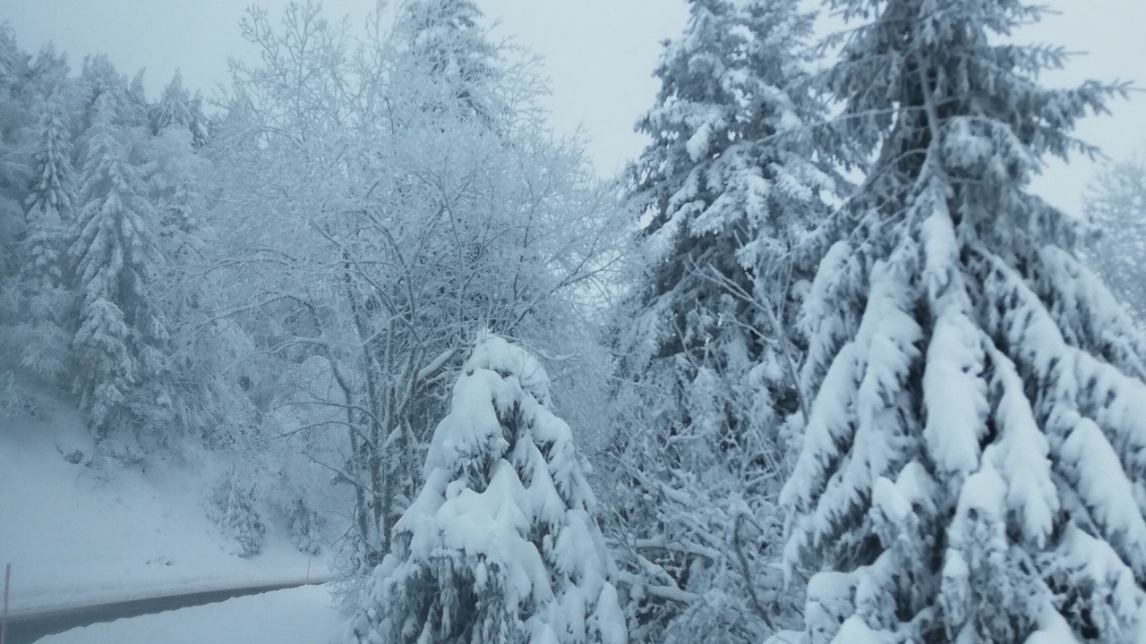 Photo of Outdoor in Chambon-sur-Lac