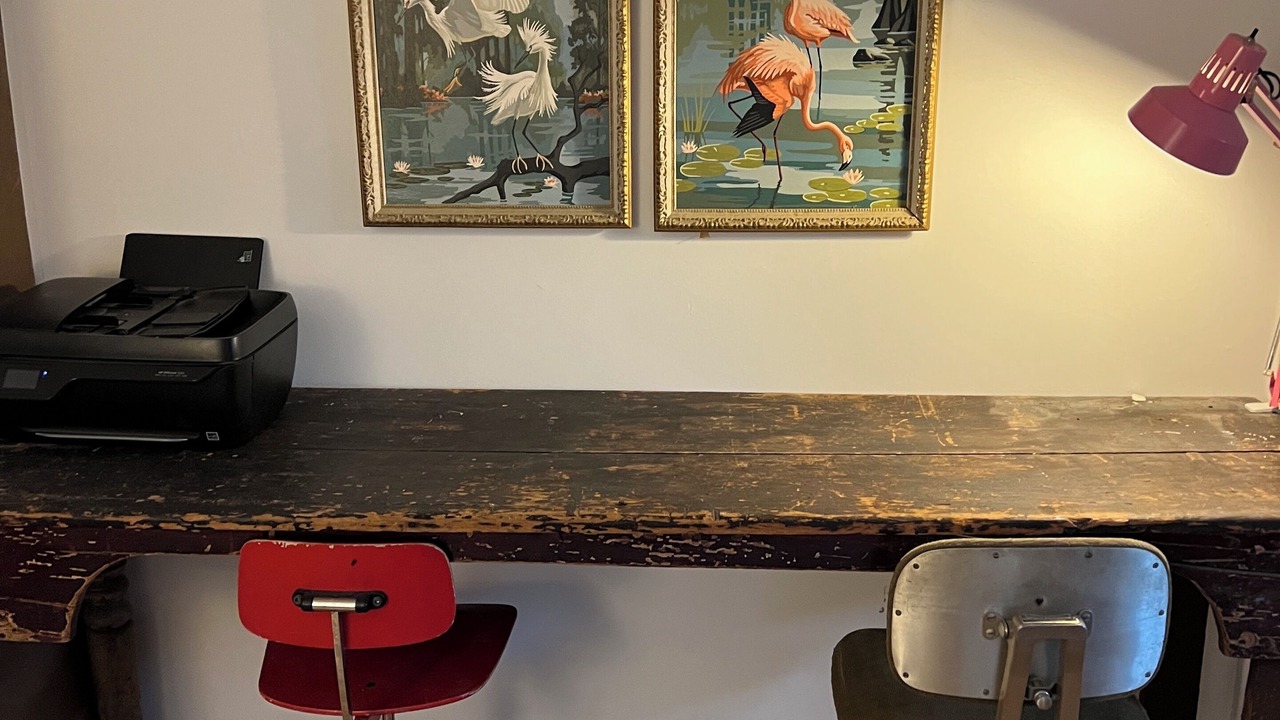 Photo of Others in New Paltz