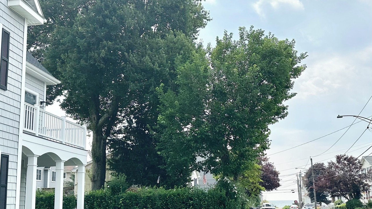 Photo of Bedroom in Devon