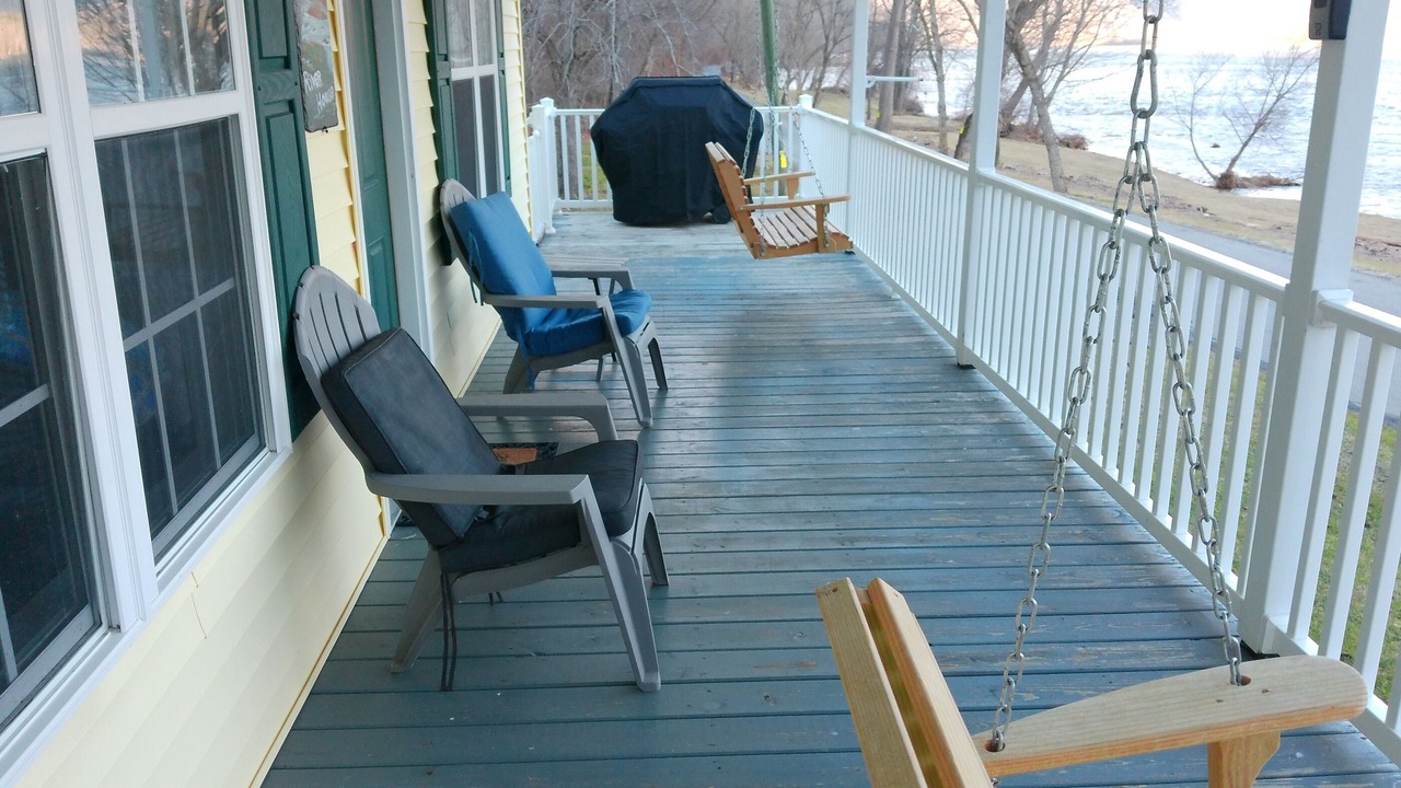 Photo of Others in Parrott