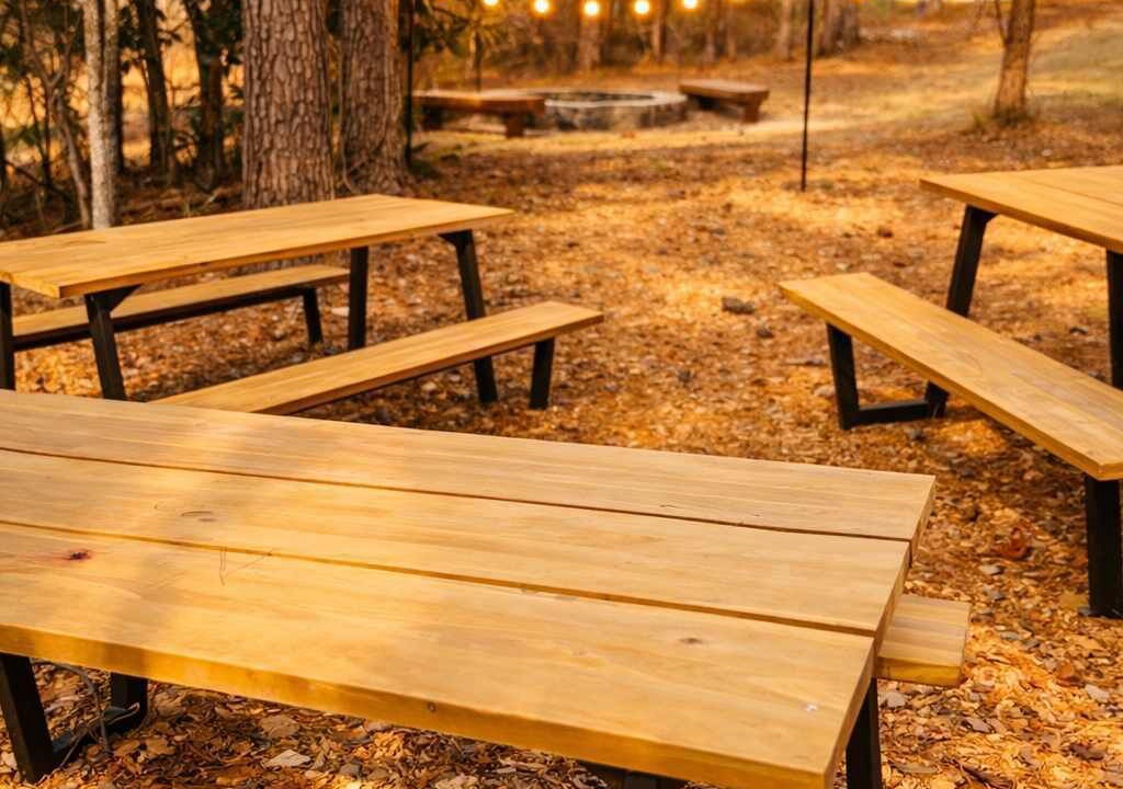 Photo of Others in Pine Forest