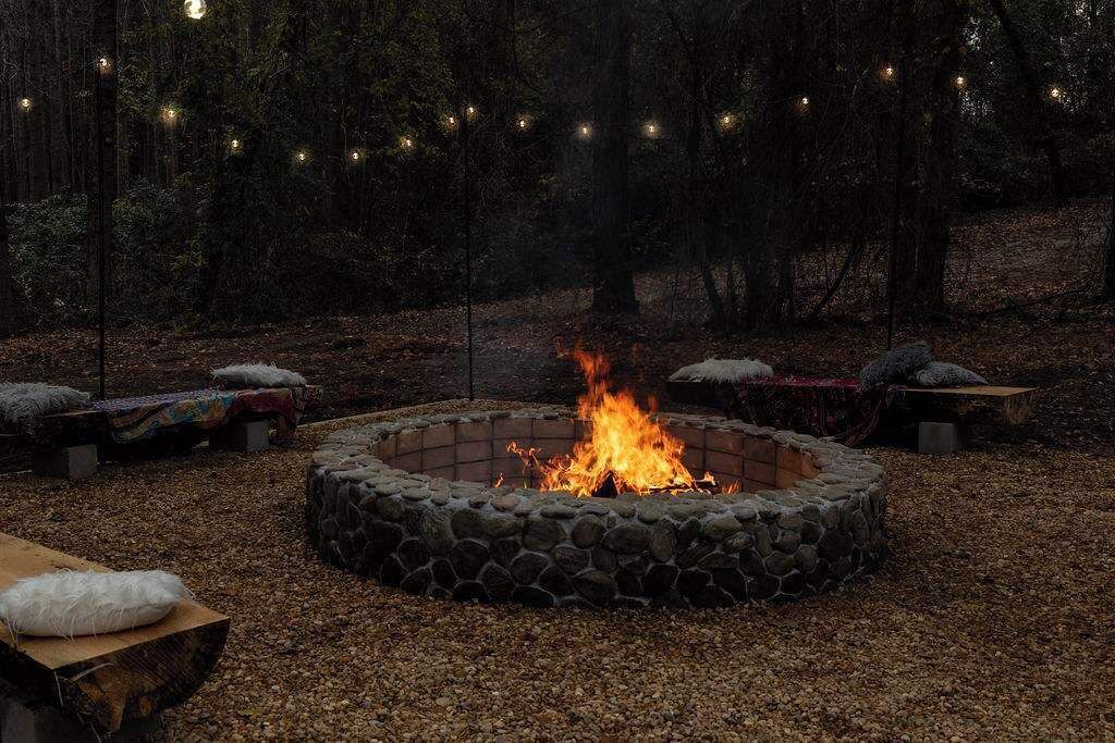 Photo of Outdoor in Pine Forest
