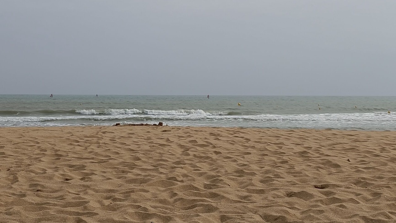 Photo of Others in Jard-sur-Mer