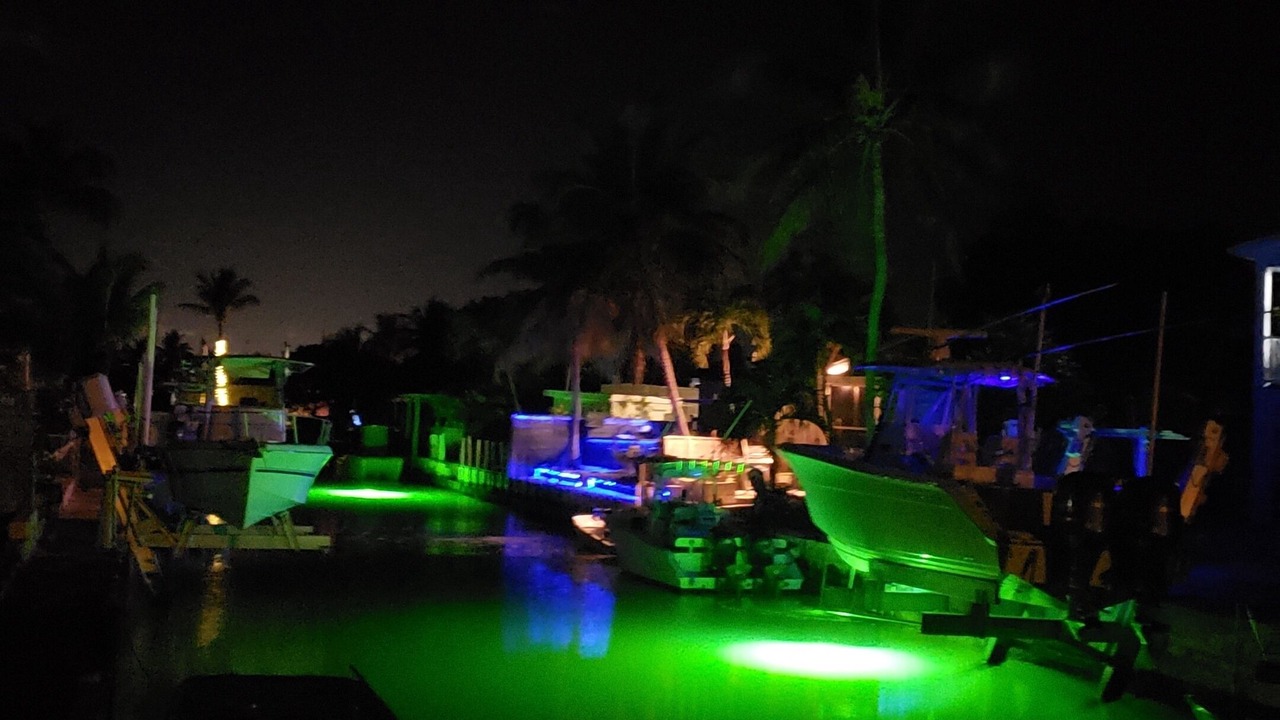 Photo of Outdoor in Geiger Key