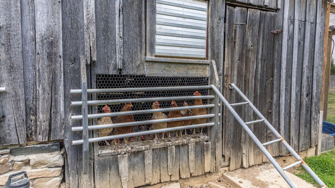 Photo of Outdoor in Bel Air