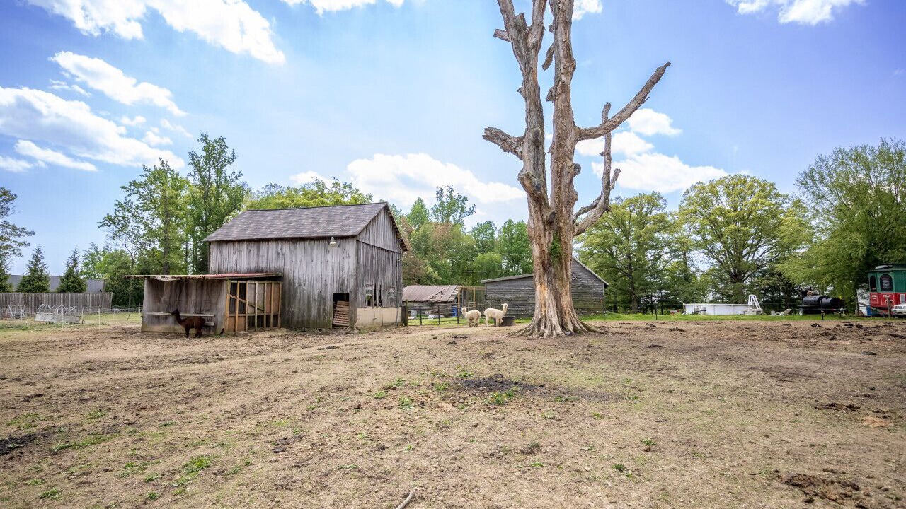 Photo of Outdoor in Bel Air