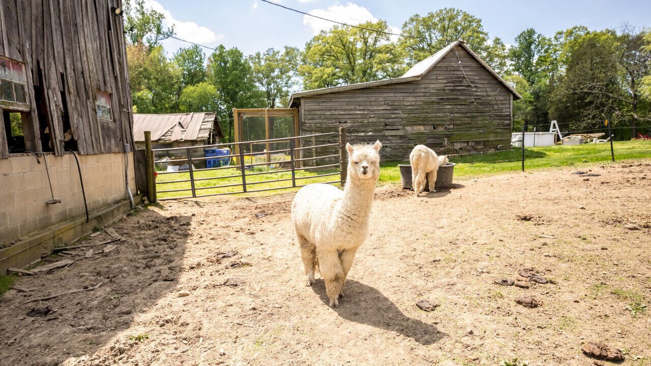 Photo of Others in Bel Air