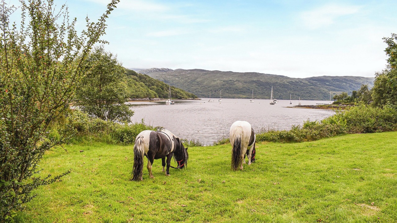 Photo of Others in Salen