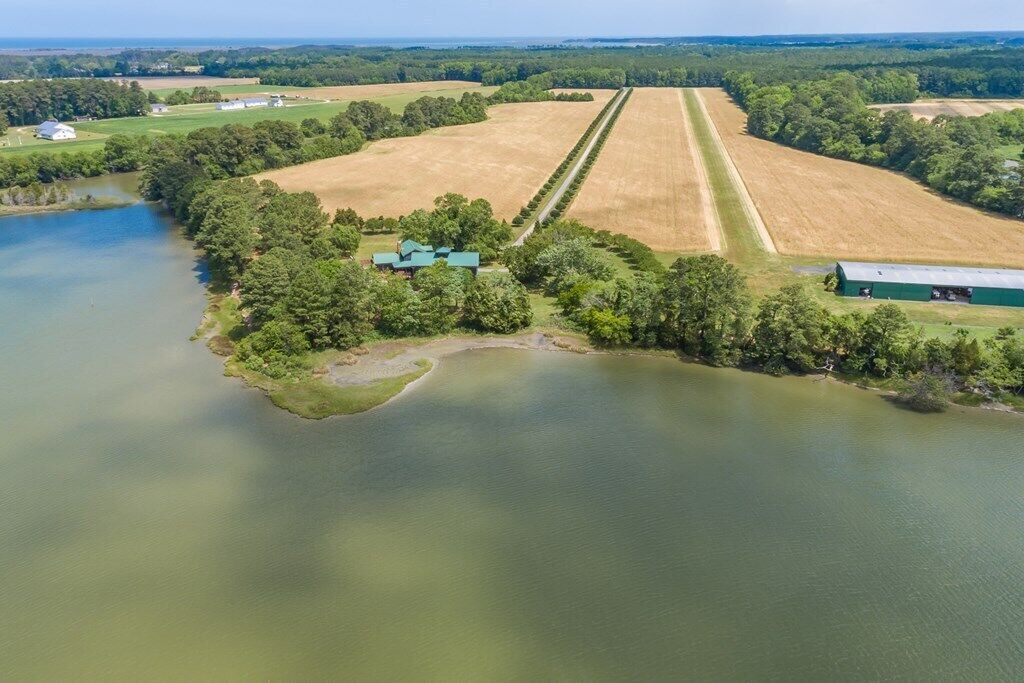 Photo of Outdoor in Belle Haven