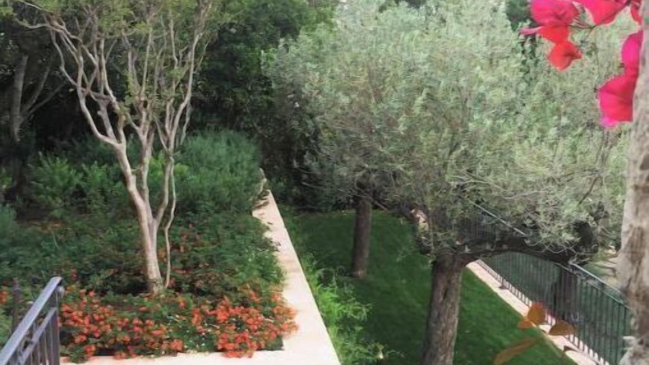 Photo of Outdoor in Mougins