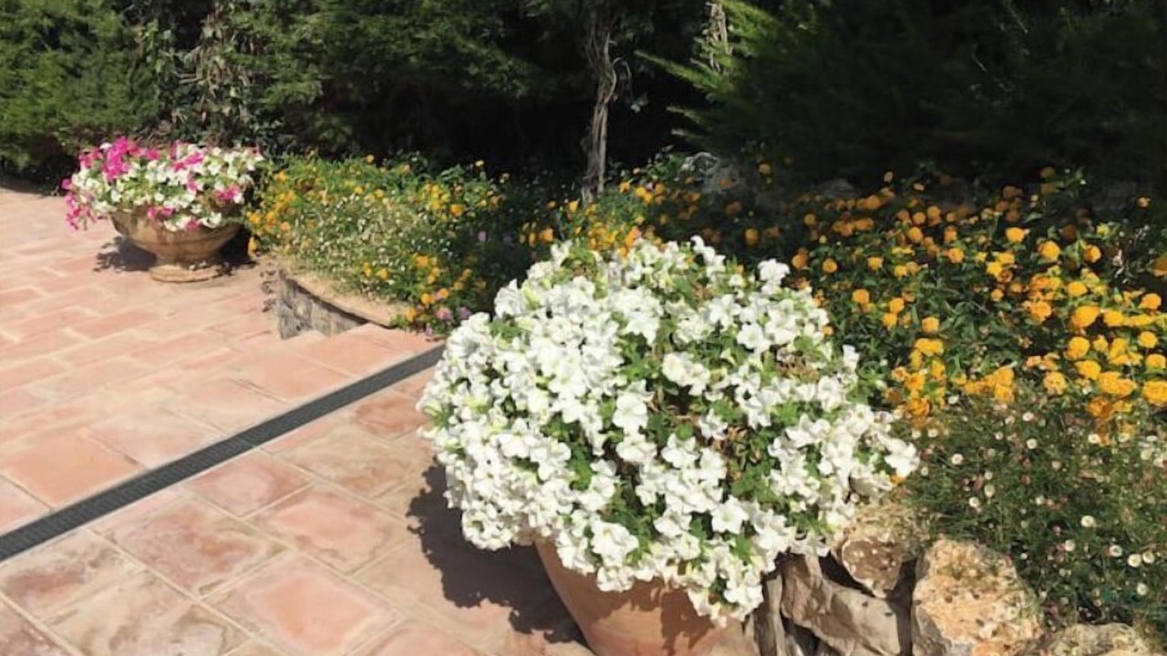 Photo of Outdoor in Mougins