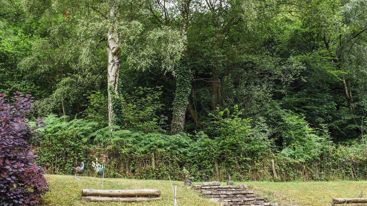 Photo of Outdoor in Lower Soudley