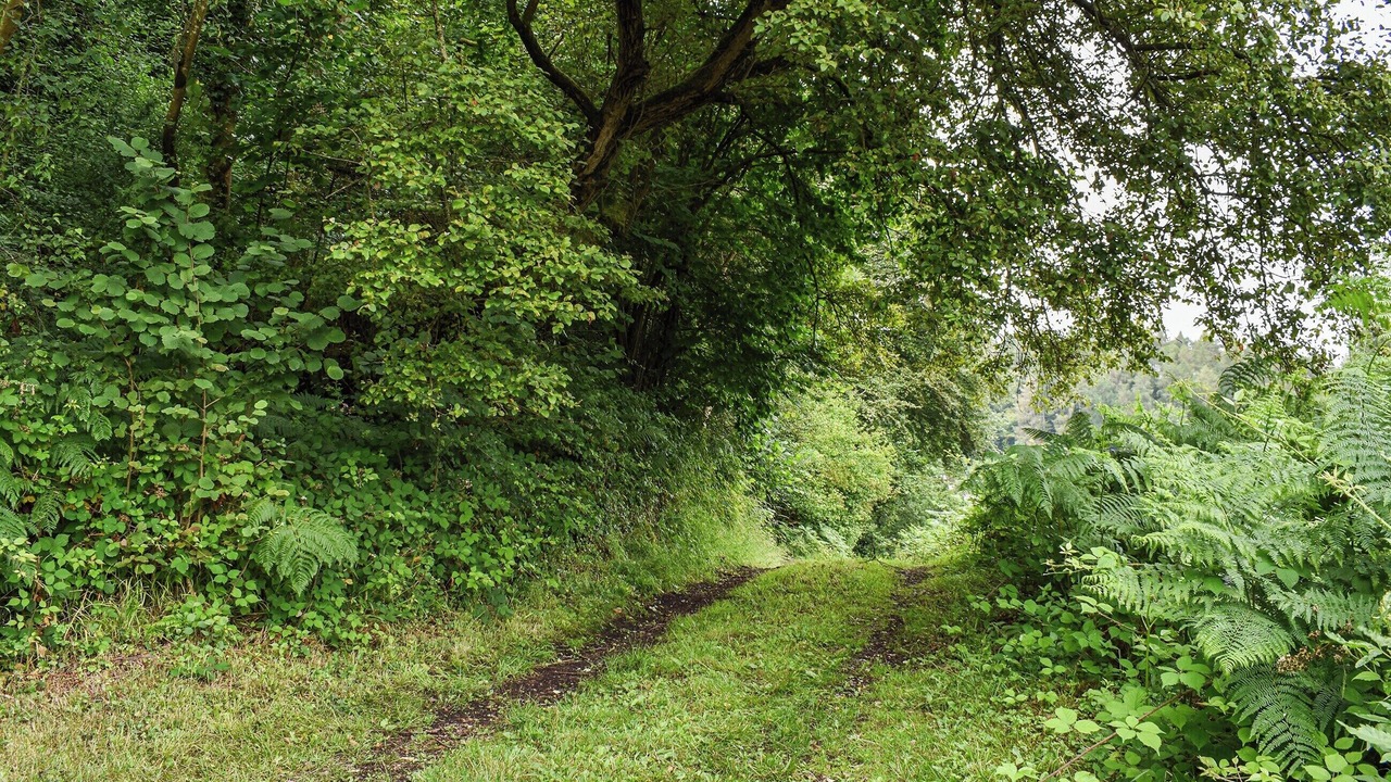 Photo of Others in Lower Soudley