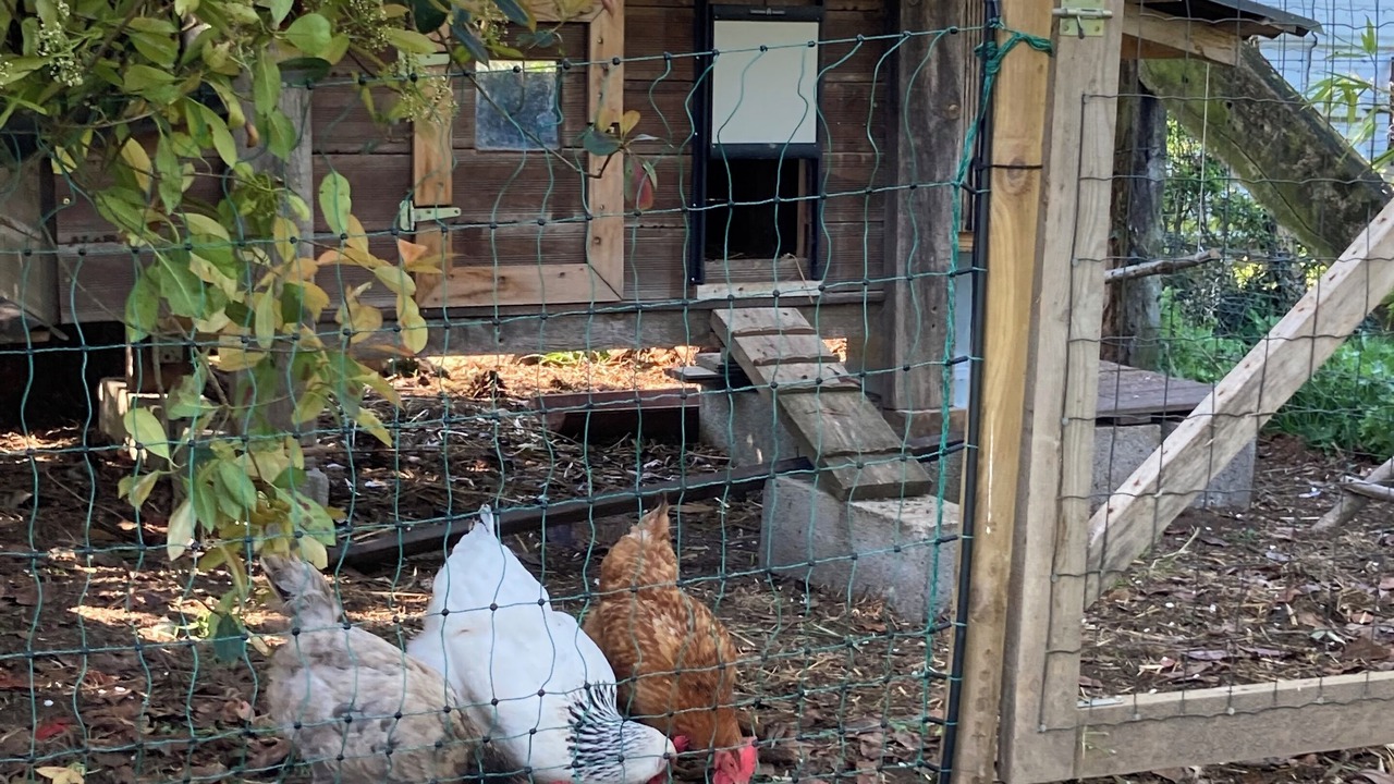 Photo of Outdoor in Coueron