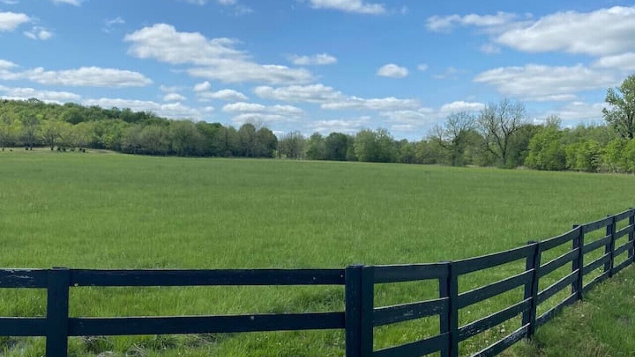 Photo of Others in Ramona