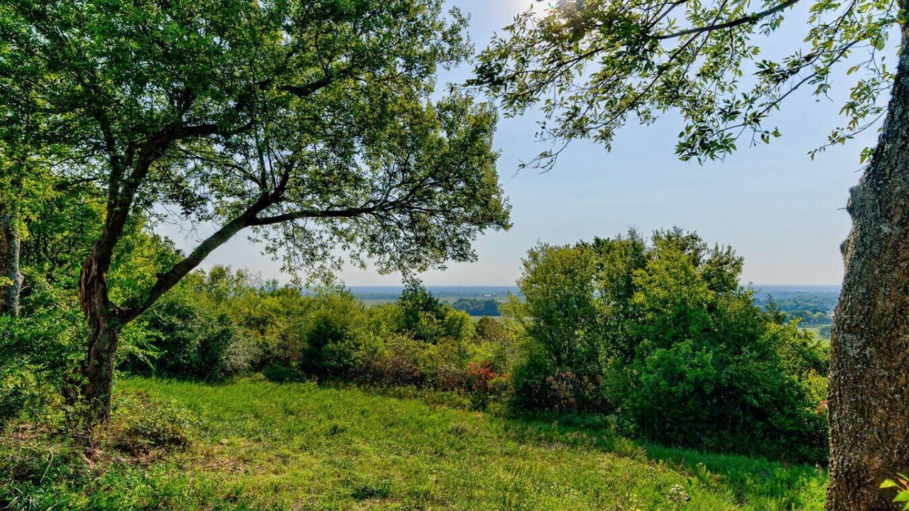 Photo of Others in Ramona