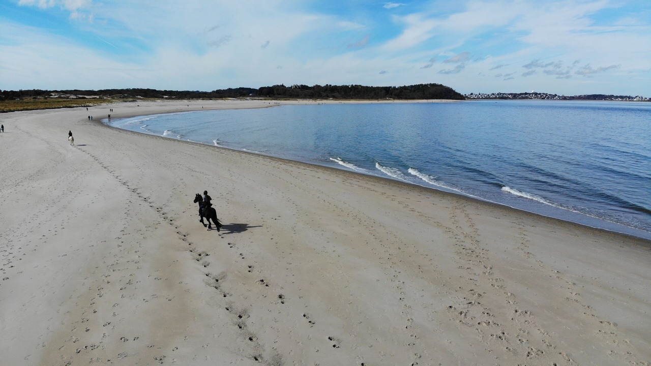 Photo of Others in Ipswich