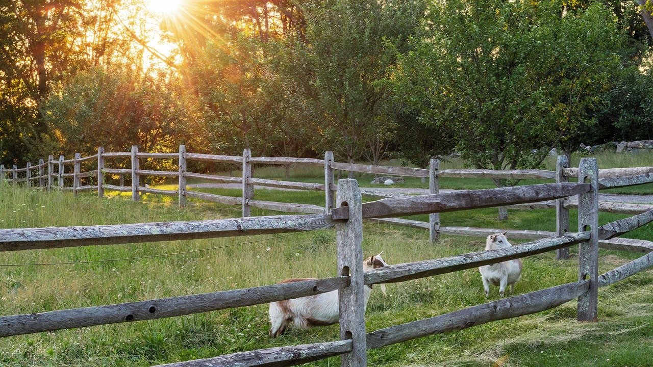 Photo of Outdoor in Ipswich