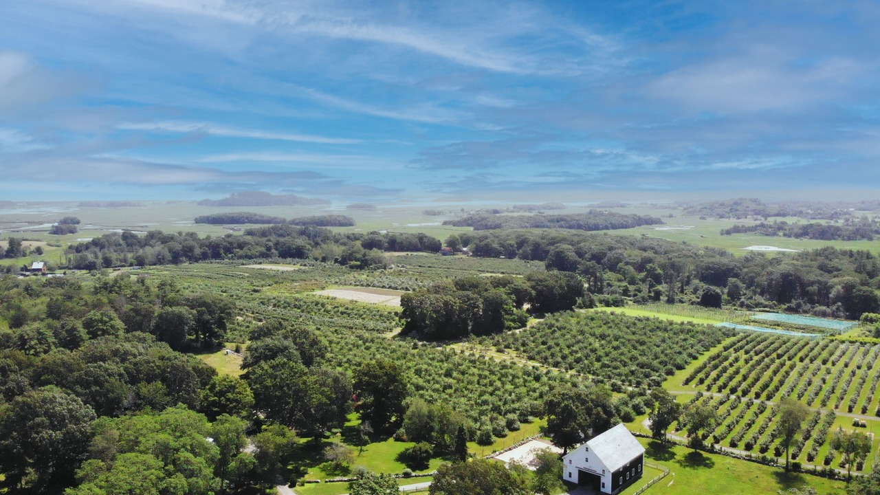 Photo of Outdoor in Ipswich