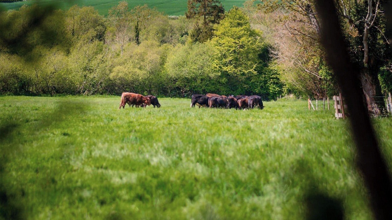 Photo of Others in Netheravon