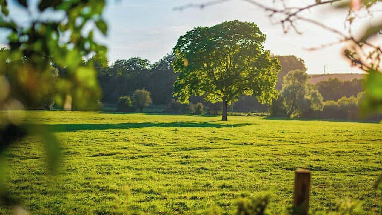 Photo of Others in Netheravon