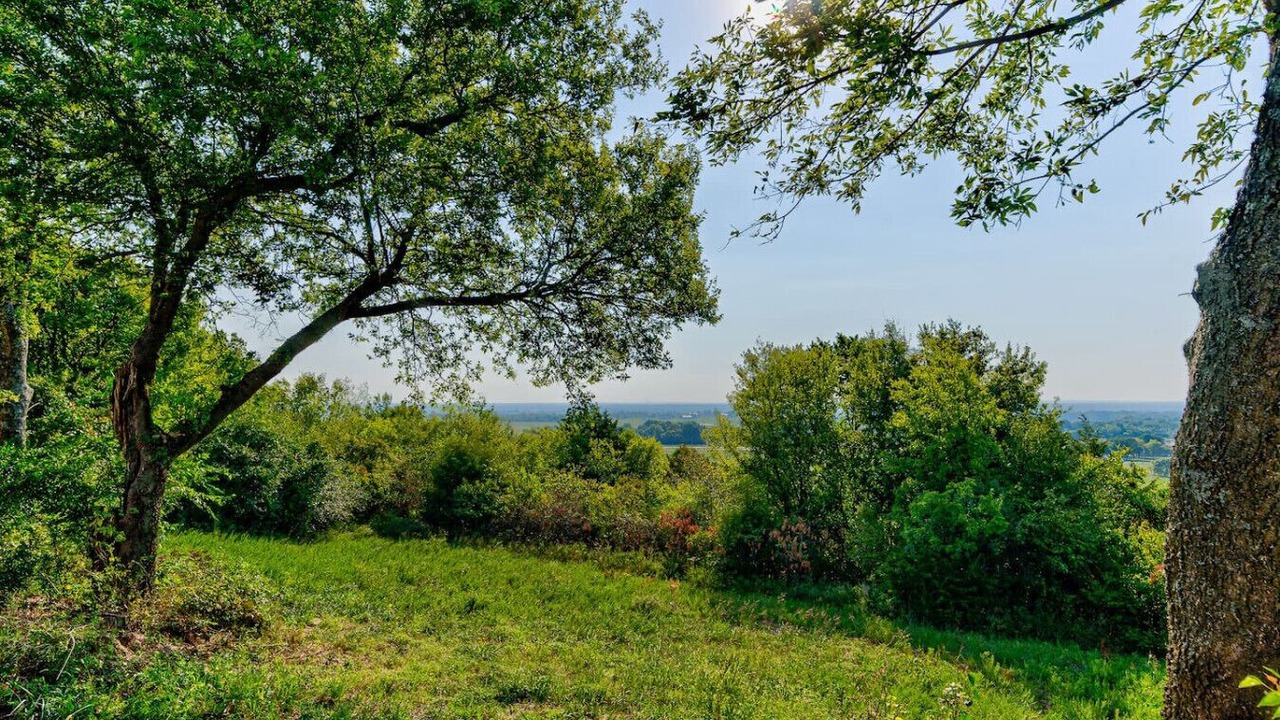 Photo of Others in Ramona