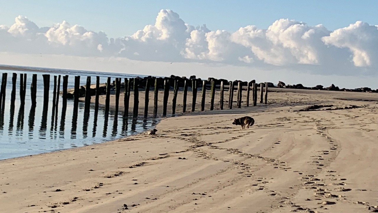 Photo of Others in Berck-sur-Mer