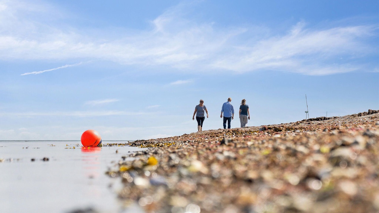 Photo of Others in Saksild Strand