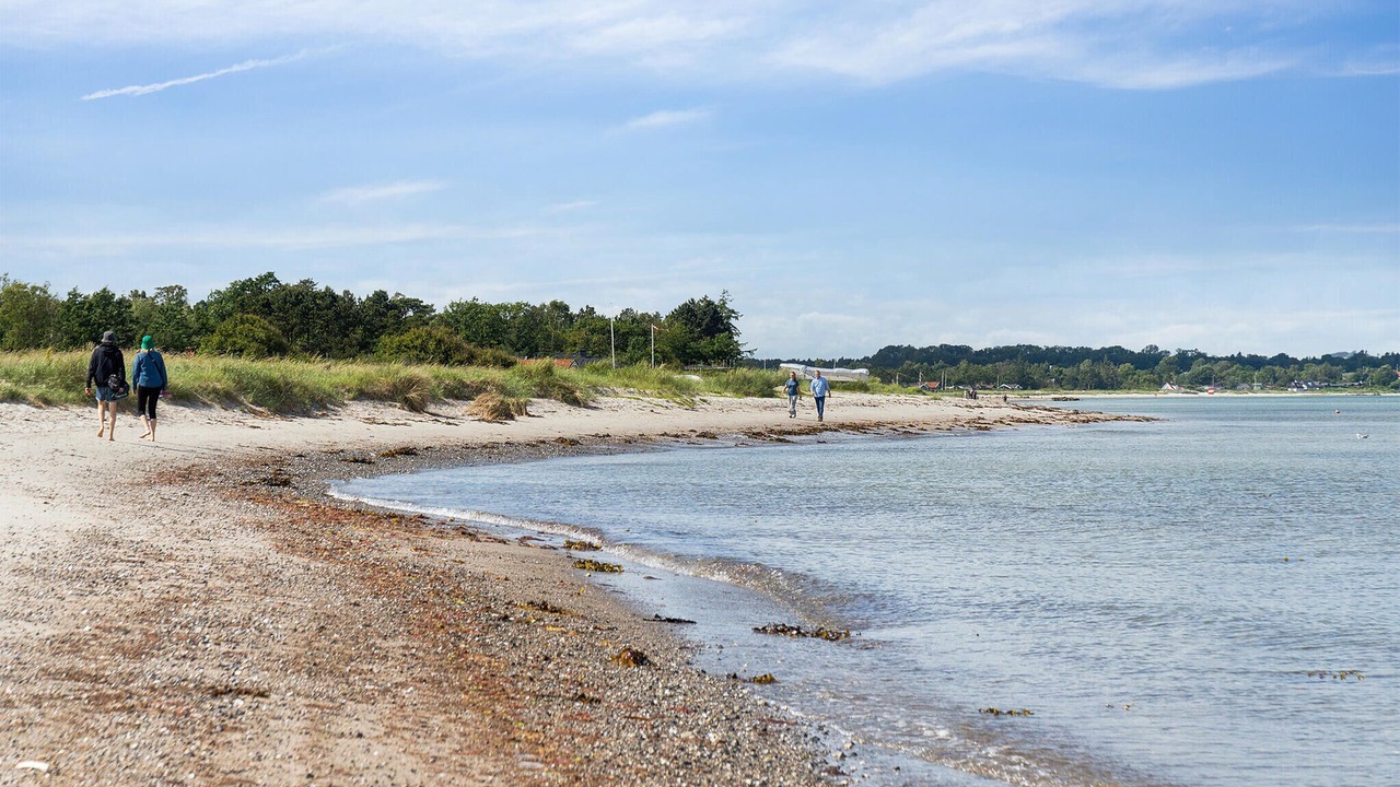 Photo of Others in Saksild Strand