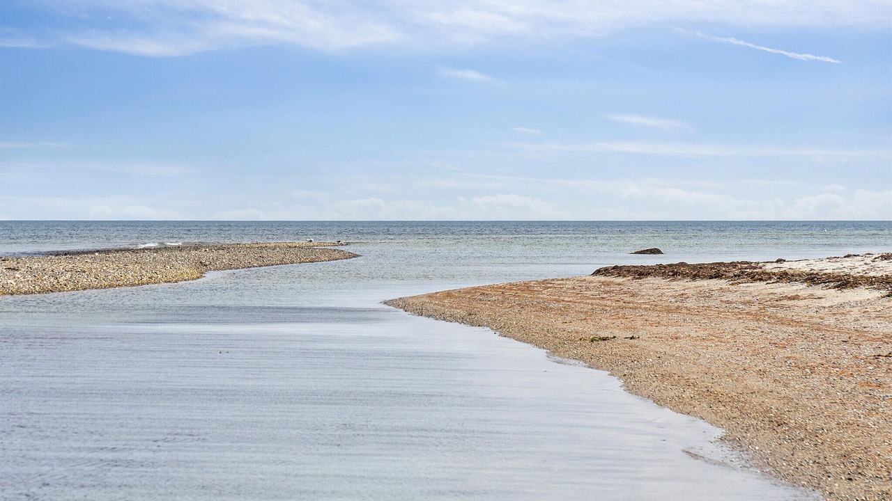 Photo of Others in Saksild Strand