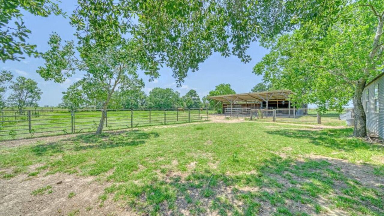 Photo of Outdoor in Lissie