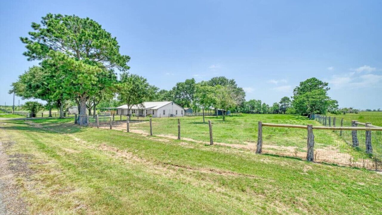 Photo of Outdoor in Lissie