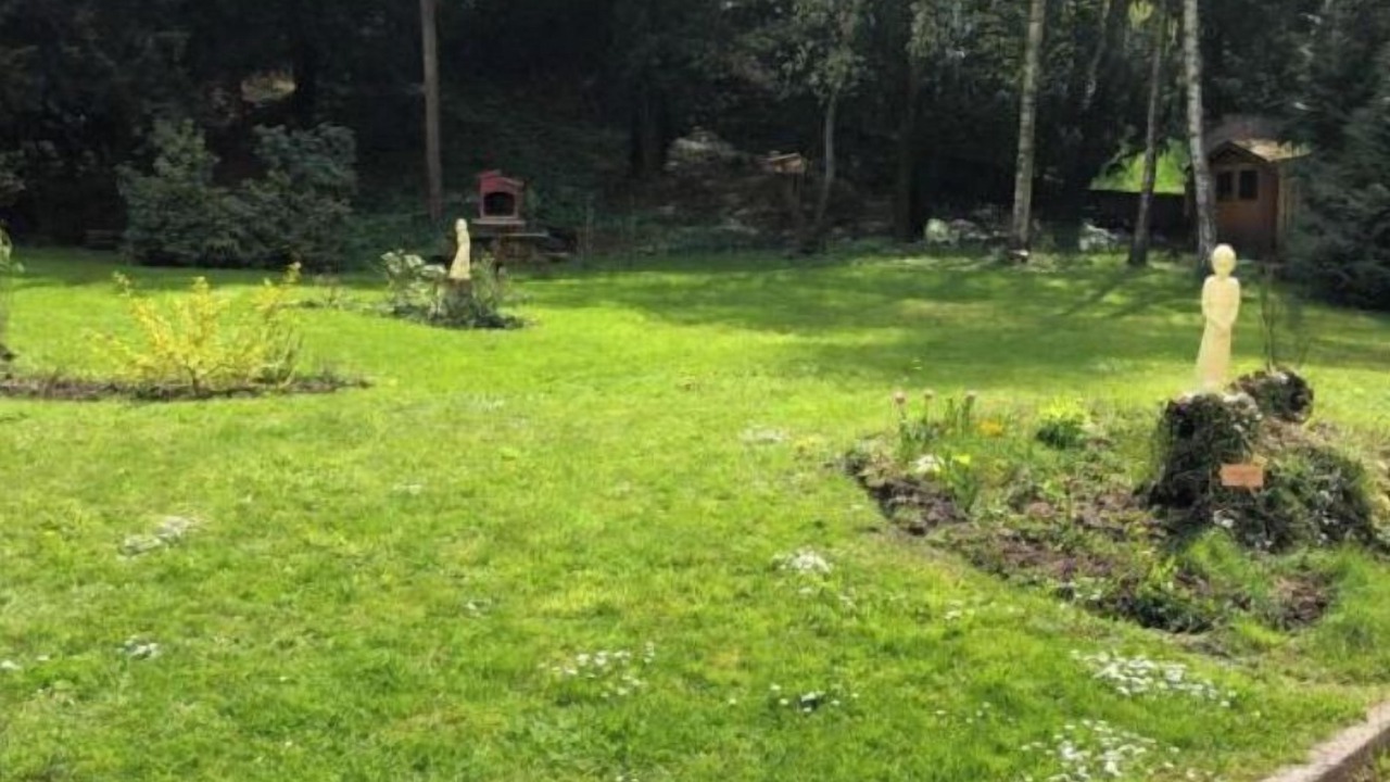Photo of Outdoor in Saint-Philippe