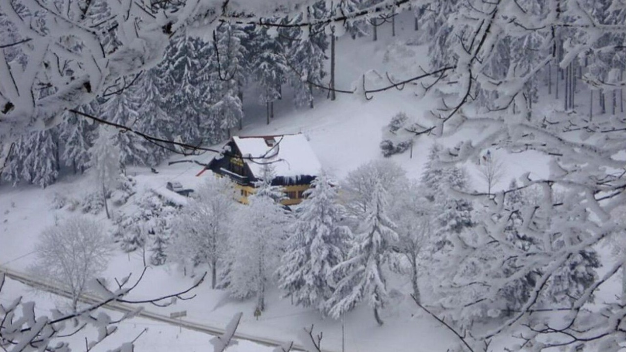Photo of Outdoor in Saint-Philippe
