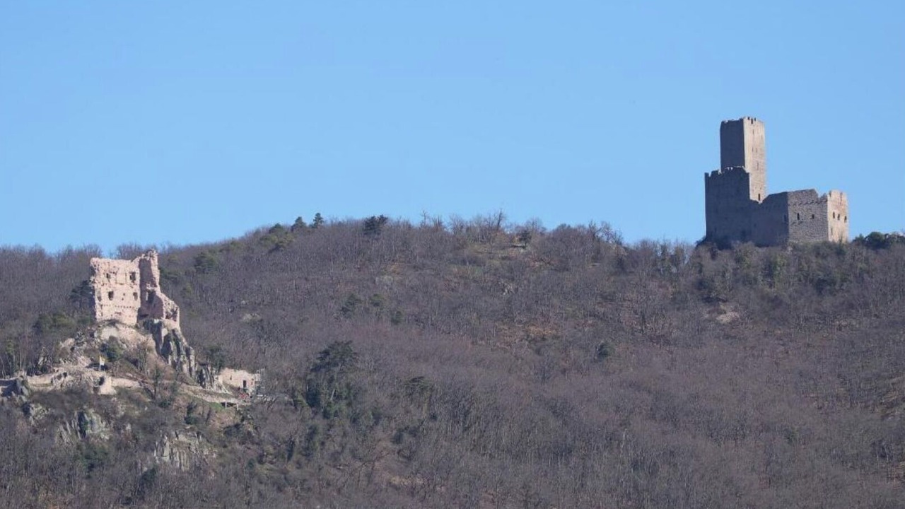 Photo of Others in Saint-Philippe