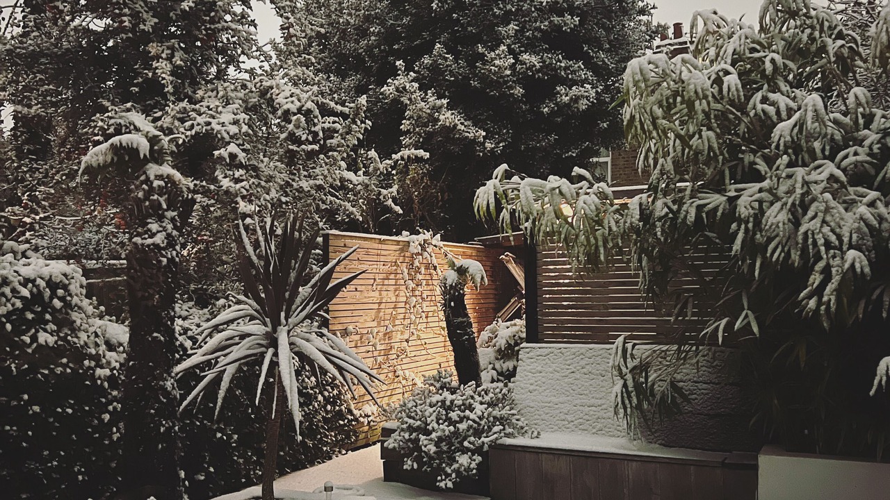 Photo of Outdoor in Bruce Grove