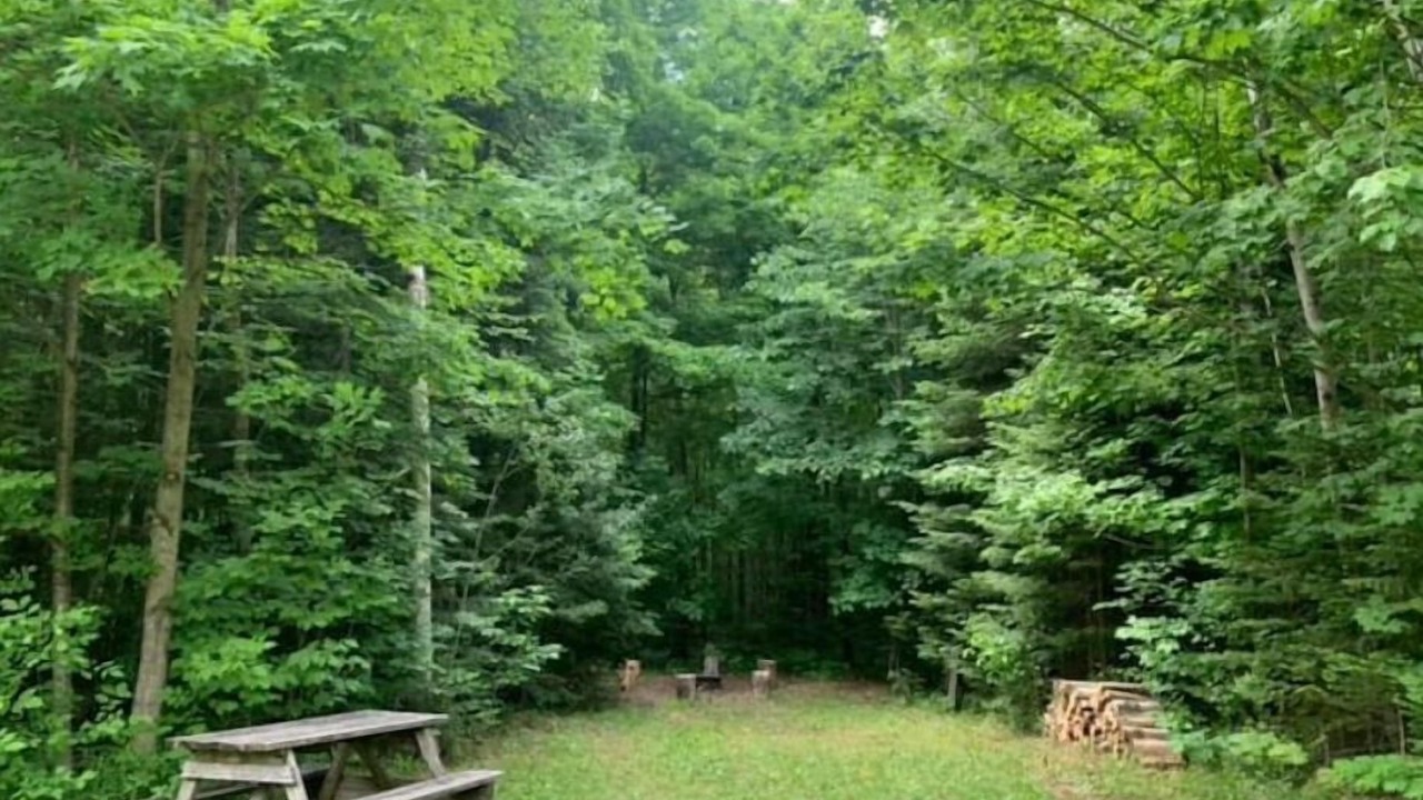 Photo of Outdoor in Holstein
