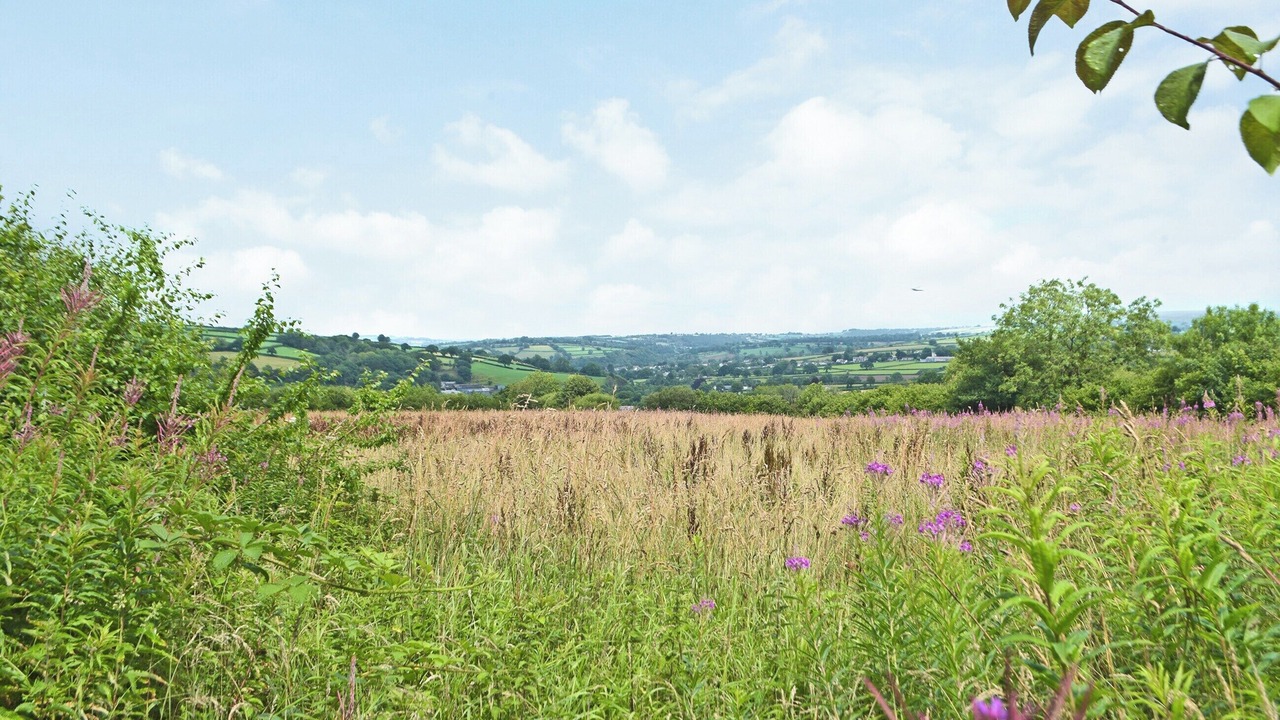 Photo of Others in Pencader