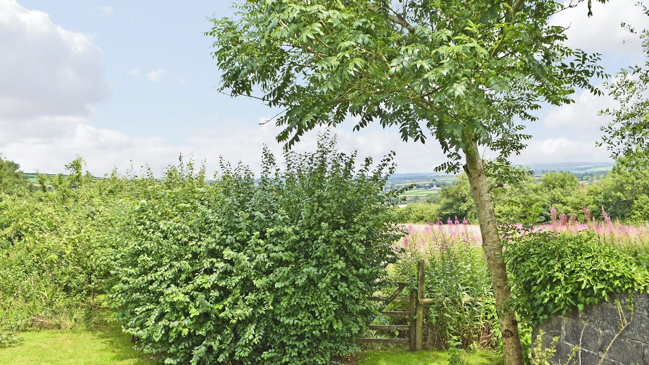 Photo of Outdoor in Pencader