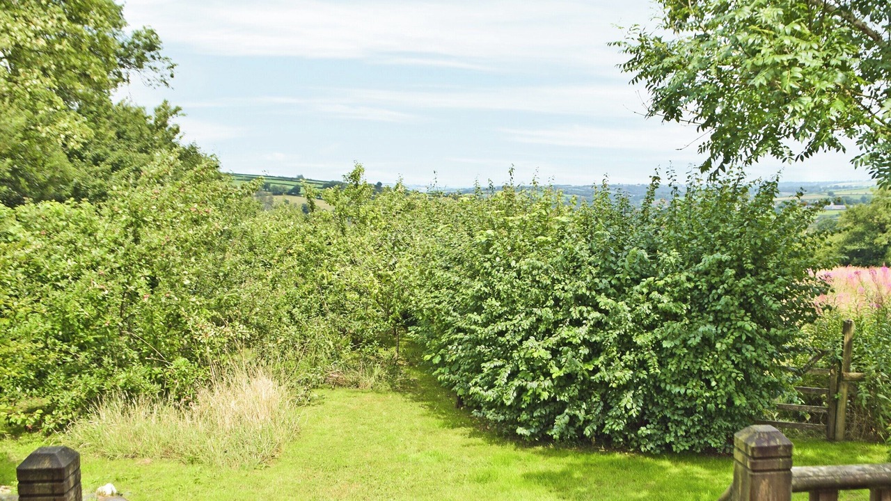 Photo of Outdoor in Pencader