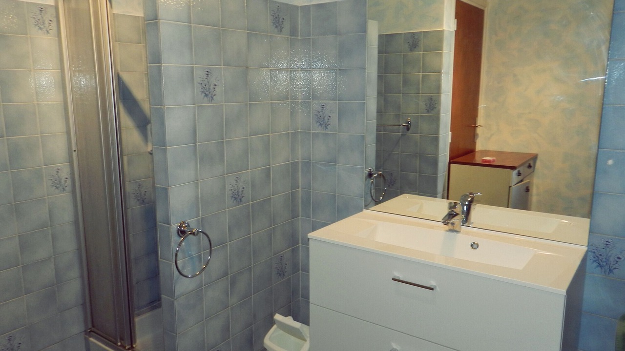 Photo of Bathroom in Esquieze-Sere